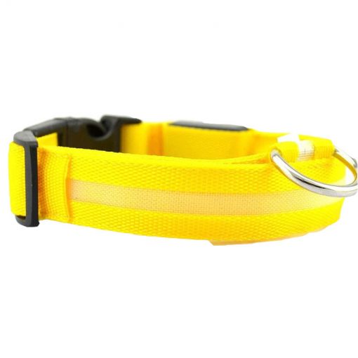 plein-de-gadget-collier-lumineux-pour-chien-jaune